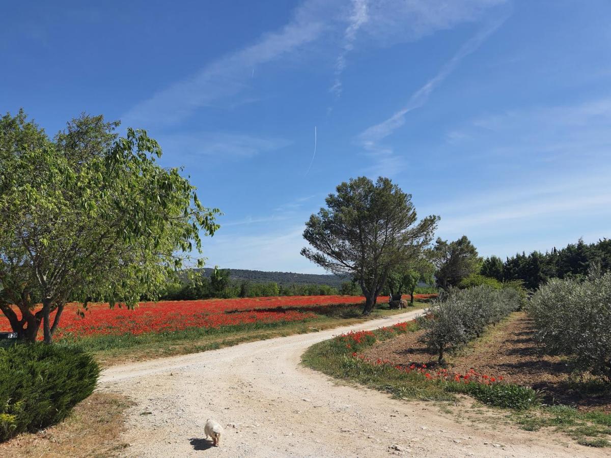 Villa La petite Galéjade à Gordes Extérieur photo